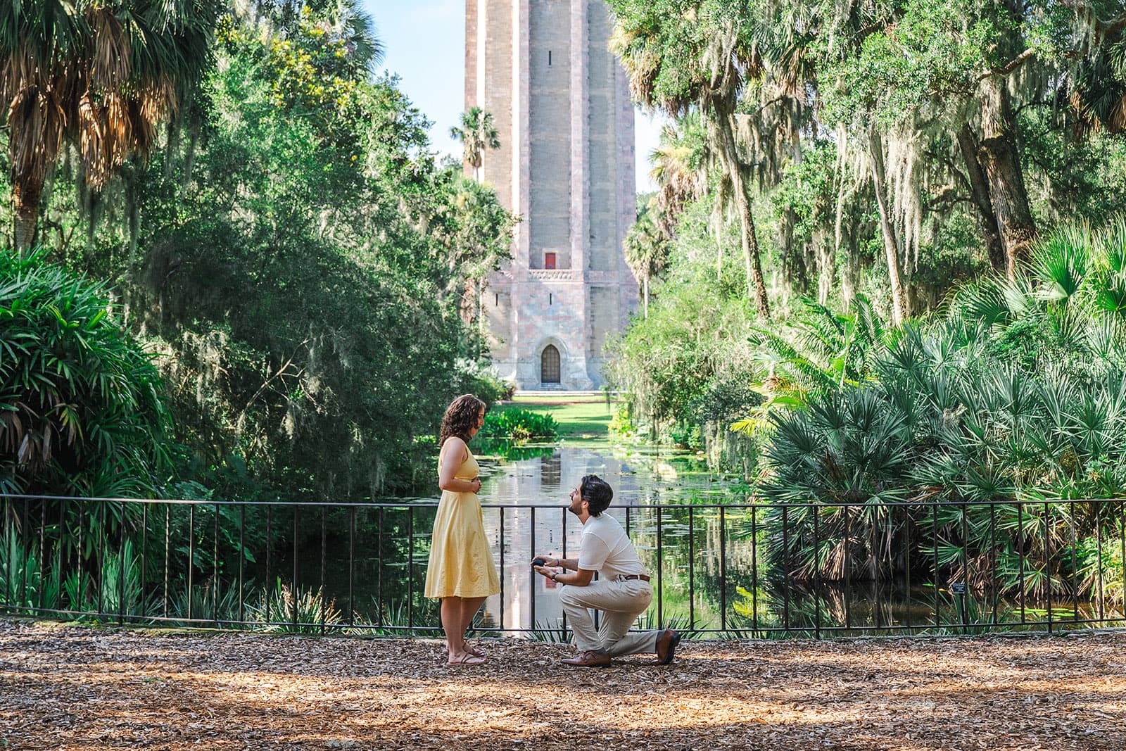Proposal on one knee at Bok Tower Gardens